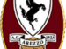 a703251748-calcio-ennesima-sconfitta-per-l-arezzo-1-a-0-a-lecce