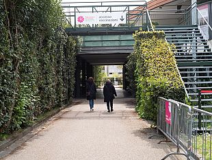 coronavirus-oggi-un-morto-e-229-nuovi-casi