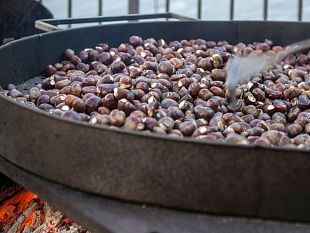 marradi-marrone-ecco-la-mostra-mercato