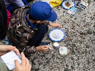 open-week-al-gattile-di-empoli