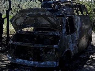 furgone-in-fiamme-danneggiato-un-cipresso