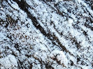 firenze-nuova-allerta-ghiaccio-dalle-18-di-oggi