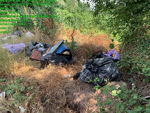 ripuliti-gli-argini-dellarno-e-il-giardino-caponnetto