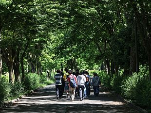 oltre-la-cronaca-il-disordine-sociale