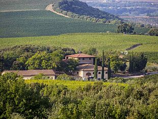 pit-per-lo-sviluppo-delle-aziende-agricole-della-piana-fiorentina
