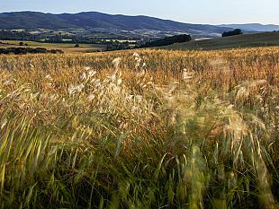 in-toscana-aree-interne-verso-lo-spopolamento-ma-sono-il-66-dellintera-regione