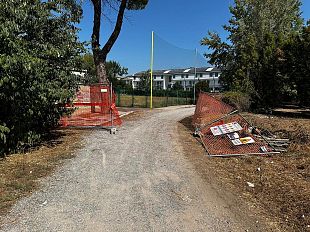 forestazione-o-devastazione-urbana-tante-segnalazioni-in-consiglio