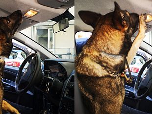 cocaina-dentro-la-luce-di-cortesia-dellautovettura