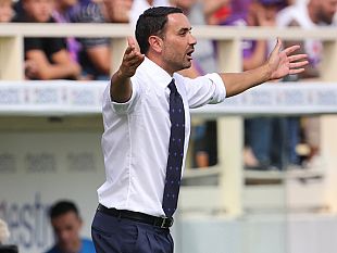 palladino-gruppo-viola-solido-compatto-e-unito