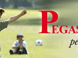 toscana-pegaso-sport-2017-ecco-i-12-finalisti