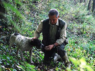 due-giorni-dedicati-al-tartufo-e-ai-prodotti-tipici-del-territorio-di-volterra