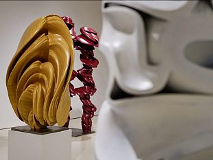 prorogata-la-mostra-tony-cragg-transfer