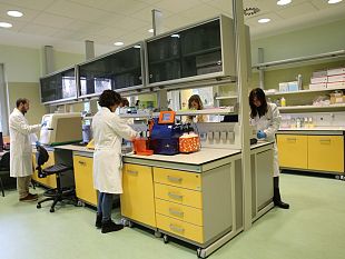 lotta-al-neuroblastoma-nei-bimbi-un-recettore-regala-nuove-speranze