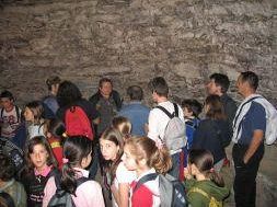 a705241311-tombe-etrusche-a-rischio-a-quinto-fiorentino-la-scuola-si-interroga