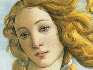 a901201402-libri-simonetta-vespucci-la-venere-fiorentina