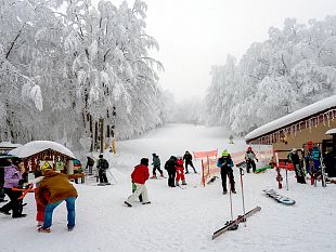 il-parco-nazionale-delle-foreste-casentinesi-compie-30-anni