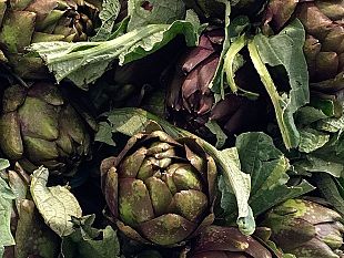 carciofo-empolese-perche-e-unico