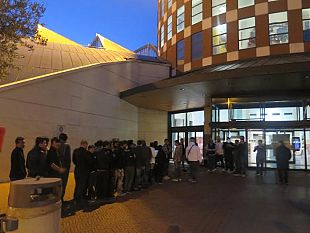 i-gigli-coda-allalba-per-iphone-6s-e-plus