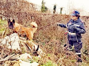 ugnano-il-cane-nello-scova-5-dosi-di-cocaina