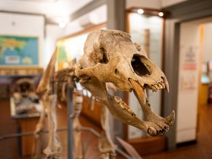 sfide-culturali-a-empoli