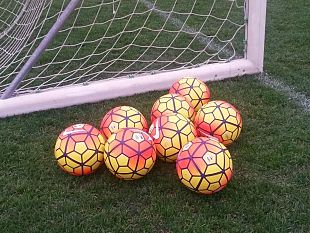 fiorentina-terim-positivo-al-coronavirus