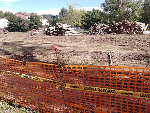 pioppeta-del-galluzzo-terminata-la-prima-fase-di-abbattimenti