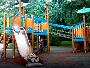 controlli-straordinari-agli-alberi-in-235-aree-gioco