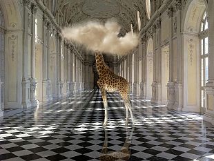 a-massa-gli-scatti-surrealisti-di-bart-herreman