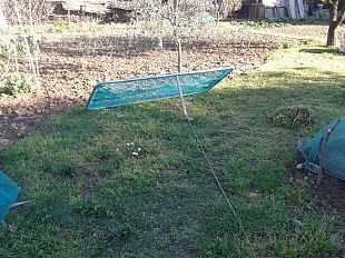 toscani-cacciatori-di-uccelli-esemplari-protetti-in-trappole-artigianali