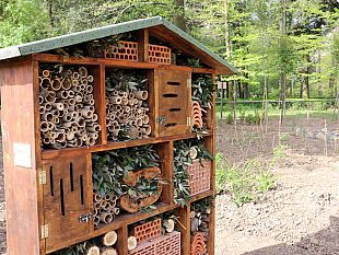 alle-cascine-arriva-la-casa-degli-insetti