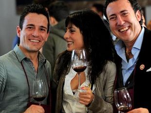 vino-anteprime-2015-della-enoteca-toscana