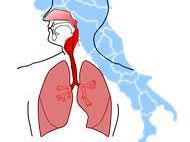 b311142012-pneumologia-presente-e-futuro-delle-malattie-respiratorie