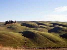 imu-agricola-10-febbraio-scadenza-con-trattori-su-a1