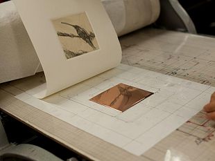 b311052309-in-due-mostre-i-30-anni-della-scuola-il-bisonte