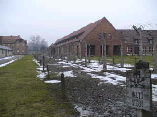 b403041426-70-anniversario-deportazione-politica-della-toscana