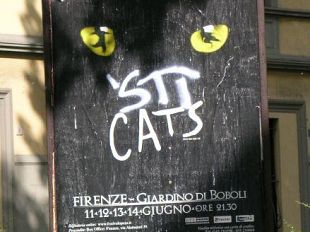 a805301457-genio-fiorentino-grande-aspettativa-per-il-musical-cats-con-qualche-ironia