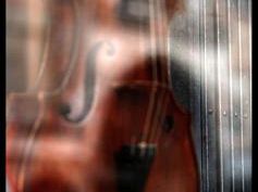 b108251618-lo-stradivari-di-napoleone-al-festival-suoni-e-colori-della-toscana