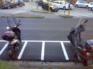 b209261546-il-pedone-fiorentino-una-specie-da-preservare