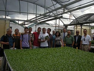 agricoltura-boom-richieste-dai-giovani