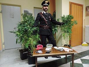 droga-fatta-in-casa-la-stanza-della-marijuana