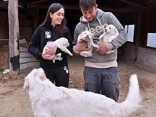 parco-nazionale-delle-foreste-casentinesi-mangimi-naturali-per-animali-per-la-tutela-della-biodiversita