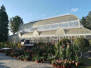 mostra-mercato-autunnale-di-piante-e-fiori-al-giardino-dellorticoltur