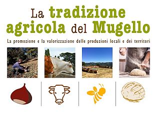 i-territori-toscani-e-i-loro-prodotti-va-in-trasferta-si-parte-dal-mugello
