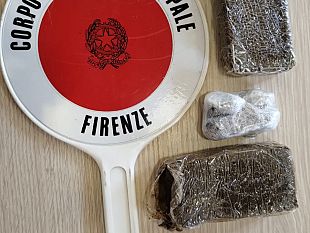 oltre-due-etti-di-sostanze-stupefacenti-recuperati-grazie-a-sirio