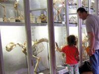 a703151410-xvii-settimana-della-cultura-scientifica-e-tecnologica-le-iniziative-del-museo-di-storia-naturale-dell-universita-di-firenze-br-il-museo-di-fucecchio-ospita-un-erbario-pisano-del-700