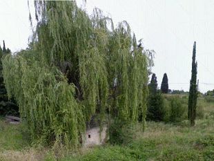 b004121943-san-gaggio-il-comune-ha-perso-un-terreno-demaniale