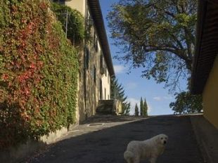 b306201729-niente-mare-quest-anno-le-vacanze-si-fanno-in-paese