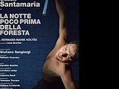b102231435-claudio-santamaria-in-la-notte-prima-della-foresta