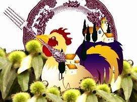 a811221346-sapori-dell-appennino-a-cantagallo