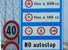 b203292217-alberi-e-barriere-antirumore-sugli-svincoli-della-fipili-di-empoli